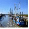 CALVENDO Puzzle Crab Cutter in Wremen 1000 Pieces 64 x 48 cm from Gnther Klnder view 3