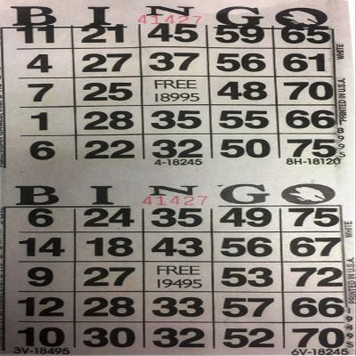 American Games INC 3000 Paper Bingo Cards-2 Cards per sheet-1500 Sheets [Choose Color Below] (White)