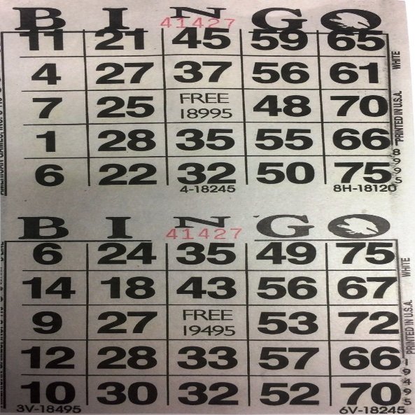 American Games INC 3000 Paper Bingo Cards-2 Cards per sheet-1500 Sheets [Choose Color Below] (White)