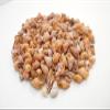 1/2 lb (1000+) Beautiful Tiny Peach Melissa Mini Shells Seashells (1/4"-1/2") Beach Craft Hobby Nautical view 3