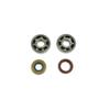 Athena P400010444001 Crankshaft Rebuilding Kit view 1