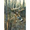 Cobble Hill White-Tailed Deer Jigsaw Puzzle (1000 Piece) view 1
