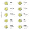 Lindner 1118-19 Printed page for 2 Euro commemorative coin:Lithuania May 2016 up to France September 1016 view 1