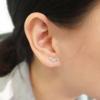 Silver Bird Pierced Earrings view 2