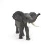 Papo -Hand-Painted - Figurine -Wild Animal Kingdom - Elephant -50215 -Collectible - for Children - Suitable for Boys and Girls- from 3 Years Old view 4