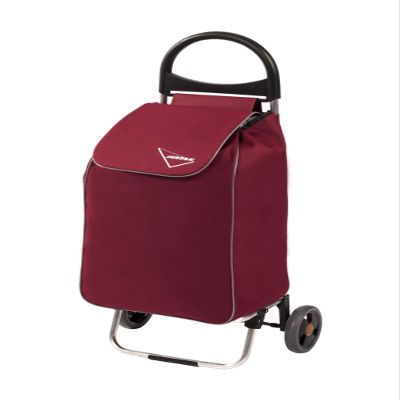Aurora Polyester Shopping Stroller, 41 x 30 x 97 cm