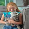 Wild Republic Snow Leopard, Cuddlekins, Stuffed Animal, 12 inches, Gift for Kids, Plush Toy, Fill is Spun Recycled Water Bottles view 4