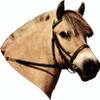 carstyling XXL Sticker Fjord Horse 125 x 110 mm view 1
