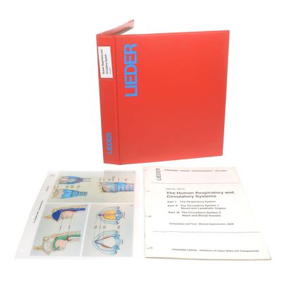 3B Scientific W13208 Circulatory-Respiratory System Overhead Transparency,Grade: 1 to 12, 1.75" Height, 10.25" Wide, 12.25" Length