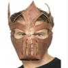 Warrior Mask view 1