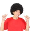 Arctic Land Afro Wig Costume Accessories Black Unisex view 1