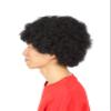 Arctic Land Afro Wig Costume Accessories Black Unisex view 4