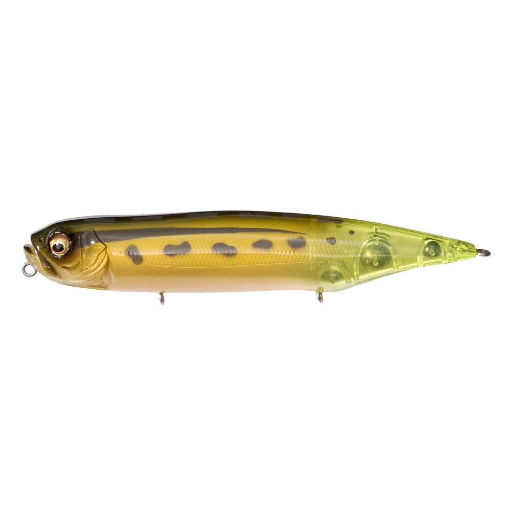 Dog-X Diamante(Rattle) Frog-CCT