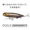 Dog-X Diamante(Rattle) Frog-CCT view 2