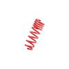 Tanabe DF210 Springs 10-10 Prius (tdf153) view 1