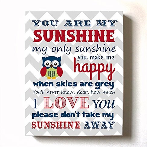 Adorable You are My Sunshine Bedtime Story Rhyme - Woodland Owl Design - Stretched Canvas Nursery Wall Art Decor - Baby Gift idea - Wooden Frame Construction - Ready to Hang 8X10