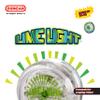 Duncan Toys Limelight LED Light-Up Yo-Yo, Beginner Level with LED Lights, Clear and Blue view 2