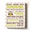 Adorable You are My Sunshine Bedtime Story Rhyme - Woodland Owl Design - Stretched Canvas Nursery Wall Art Decor - Baby Gift idea - Wooden Frame Construction - Ready to Hang 16X20 view 1