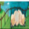 Piggy Toes Touch and Feel Storybook view 4