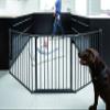 BabyDan Scandinavian Pet Design Super Extra-Wide Gate, Black view 2