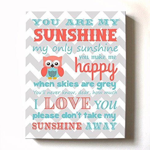 Adorable You are My Sunshine Bedtime Story Rhyme - Woodland Owl Design - Stretched Canvas Nursery Wall Art Decor - Baby Gift idea - Wooden Frame Construction - Ready to Hang 12X16