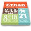 Personalized Stretched Canvas Birth Announcement Gift, Custom Baby Name, Date, Weight Stats, Newborn Elephant Nursery Wall Art Decor, Wooden Frame Construction, Ready to Hang 8X10 view 3