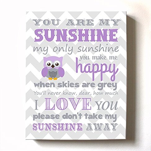 Adorable You are My Sunshine Bedtime Story Rhyme - Woodland Owl Design - Stretched Canvas Nursery Wall Art Decor - Baby Gift idea - Wooden Frame Construction - Ready to Hang 24X30