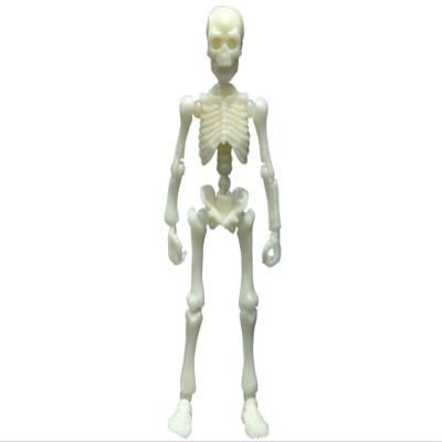 Pose skeleton human 03 ooky hit hit color series Moonlight light blue