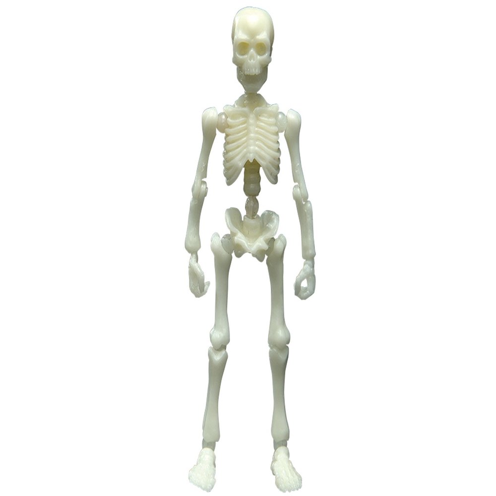 Pose skeleton human 03 ooky hit hit color series Moonlight light blue