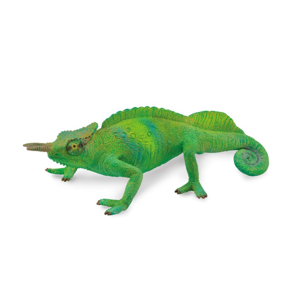 Collecta