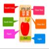 Guaishou New Chinese English Language Learning Wooden Blocks Domino Children's Educational Product Wooden Toys Recognize/Identify Fruits and Animals 100pcs view 3