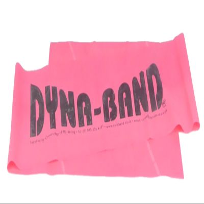 ZZPINK PREGNANCY + NEW MOTHER DYNA-BAND