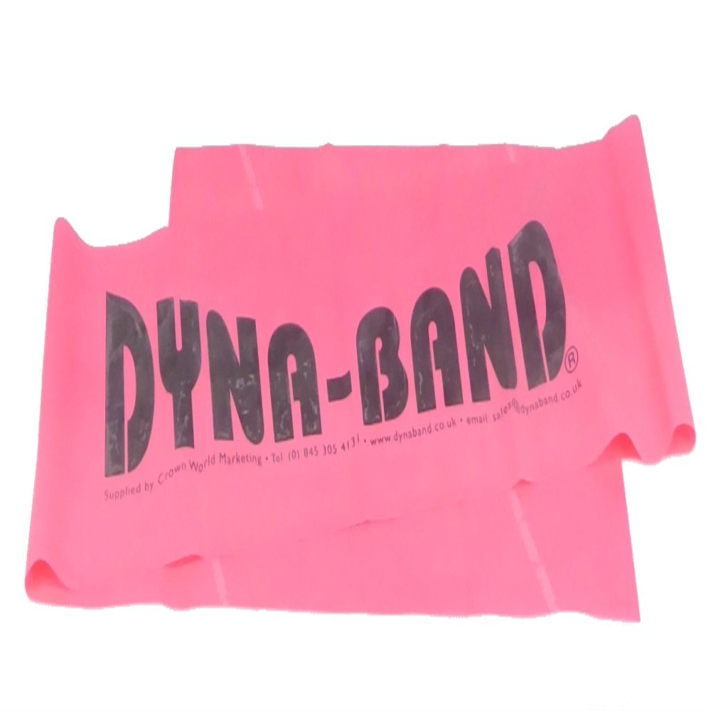 ZZPINK PREGNANCY + NEW MOTHER DYNA-BAND