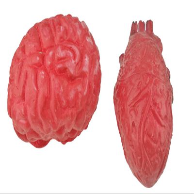 Bloody Scary Fake Human Brain Horrible Heart Organ for Trick Toys Halloween Props Festival Decoration Haunted House