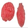Bloody Scary Fake Human Brain Horrible Heart Organ for Trick Toys Halloween Props Festival Decoration Haunted House view 1