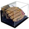 Better Display Cases Versatile Acrylic Display Case - Medium Rectangle Box with Black Risers Mirror and Wall Mount 12" x 8.25" x 8" (A004-BR) view 1