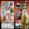 meiko-na (Meiko Newsusha) Explosion! Egging 2017 view 3