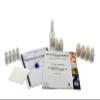 Chromatography of Amino Acids - Explore Amino Acids & The Process of Chromatography - Small Group Learning - Experiment Kit - Innovating Science view 1