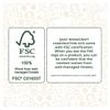 Bumble Bee QUAY Woodcraft Construction Kit FSC view 4