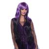 Folat 26750 Witch Wig Purple-Black Long Hair, Multi Colors view 1