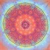 Fox Outdoor 83-071 22" X 22" Bandanna - Kaleidoscope view 1