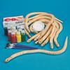 S&S Worldwide Flexible Wooden Snake Craft Kit (Pack of 12) view 2