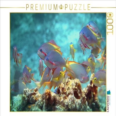 CALVENDO Puzzle Colourful Hustle and Bustle of The Flag Perch 1000 Pieces 64 x 48 cm from Ute Niemann