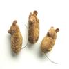Small Tan Mice view 2