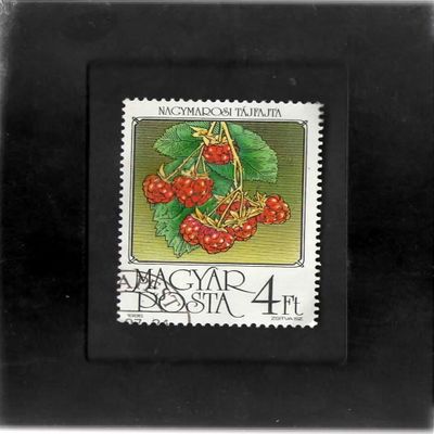 Tchotchke Stamp Art - Collectible Postage Stamp - Raspberry