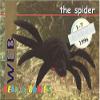 BBOC Cards Ty Beanie Babies Series 1 Retired (Silver) - Web The Spider view 1