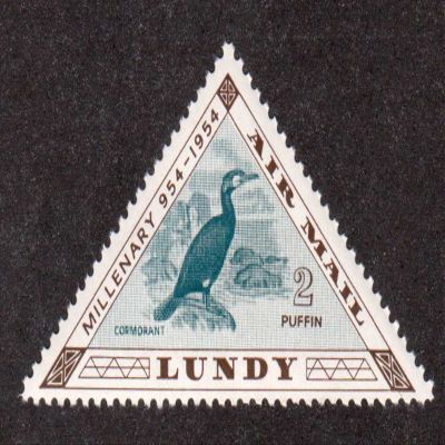 Cormorant Bird 2 Puffin Air Mail Lundy Island Triangle Postage Stamp