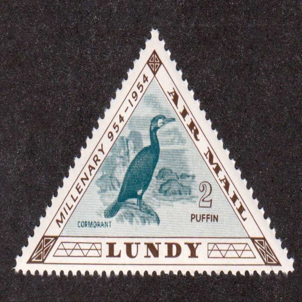 Cormorant Bird 2 Puffin Air Mail Lundy Island Triangle Postage Stamp