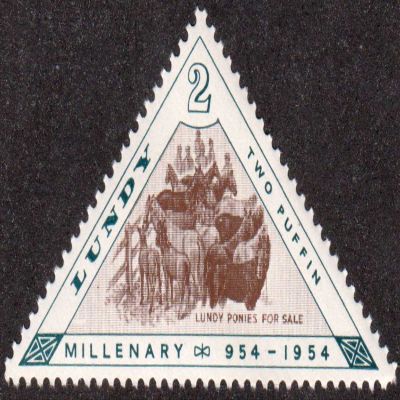 Lundy Ponys for Sale 2 Puffin Lundy Island Triangle Postage Stamp