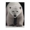 500 Piece Jigsaw Puzzle for Adults Personalized Picture Puzzle Polar Bear Customized Wooden Puzzle for Family, Birthday, Wedding, Game Nights Gifts, 20.4"x15" view 1